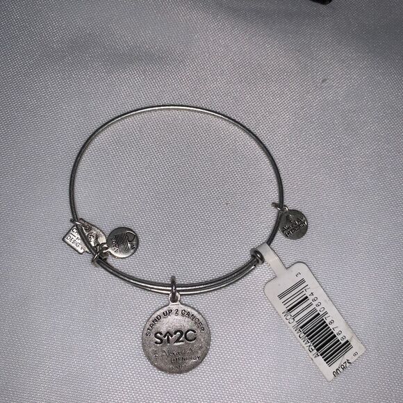 Stand Up Charm Bangle in Rafaelian Silver : Stand Up To Cancer - Picture 1 of 6